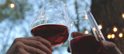 Babarolo Piedmont Wine Lexicon - A