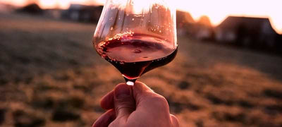Das Terroir-Tagebuch #1: Barbaresco, pur und ungeschminkt – zu Besuch bei La Ca Növa