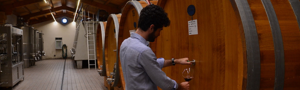 Chionetti Weine aus Piemont bei Babarolo bestellen